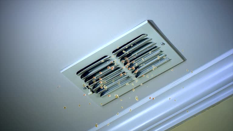 Best Air Vent Cleaning Services  in Walls, MS