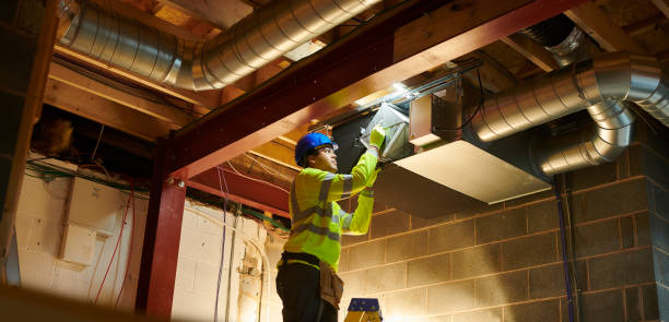 Best Professional Duct Cleaning Services  in Walls, MS