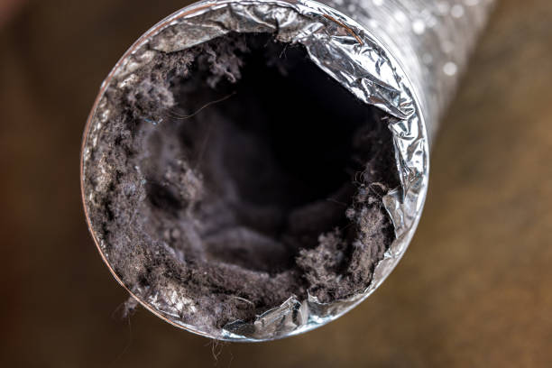 Best Air Duct Cleaning Near Me  in Walls, MS